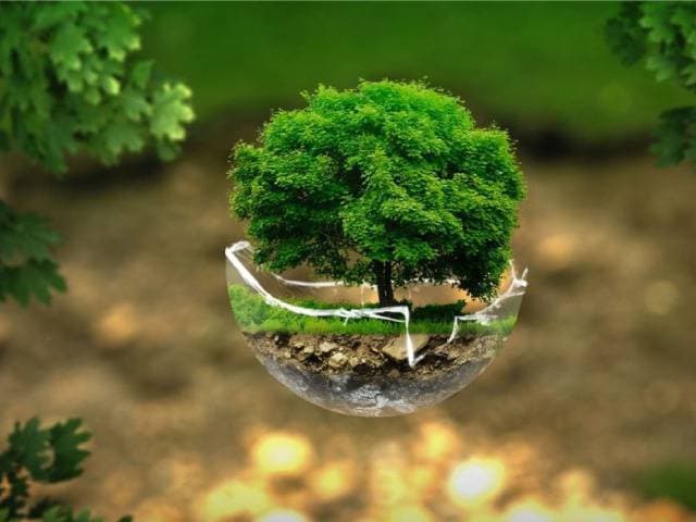 Économie et conscience écologique après le Covid-19