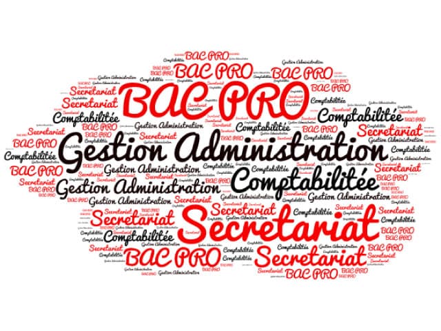Le Bac Pro Gestion : les filières, le programme, les débouchés