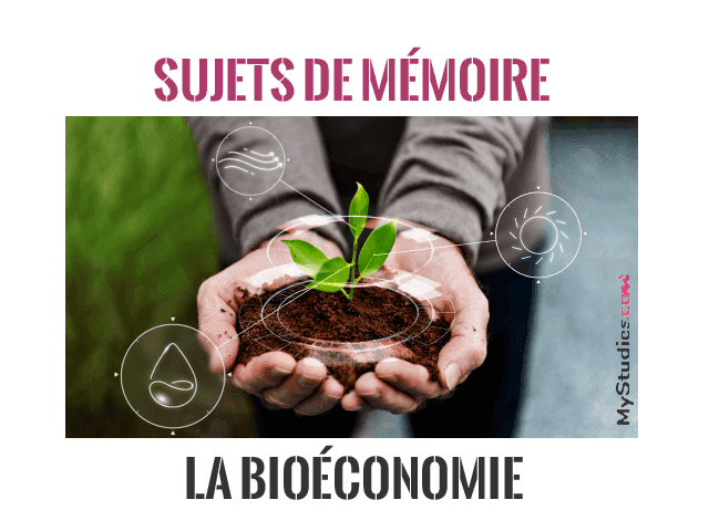 5 sujets de mémoire - La bioéconomie
