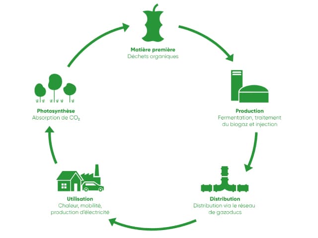 Comment comparer le biogaz aux autres sources d'énergie ?