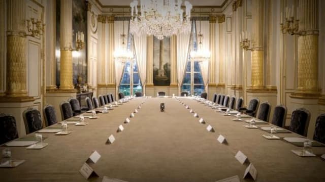 Le rôle du gouvernement selon l'article 20 de la Constitution