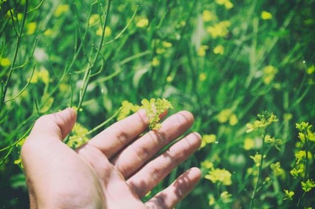 Résumé de Candide de Voltaire (chapitre 30)