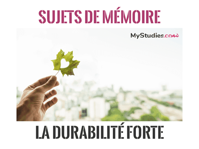 5 sujets de mémoire - Commerce et durabilité forte