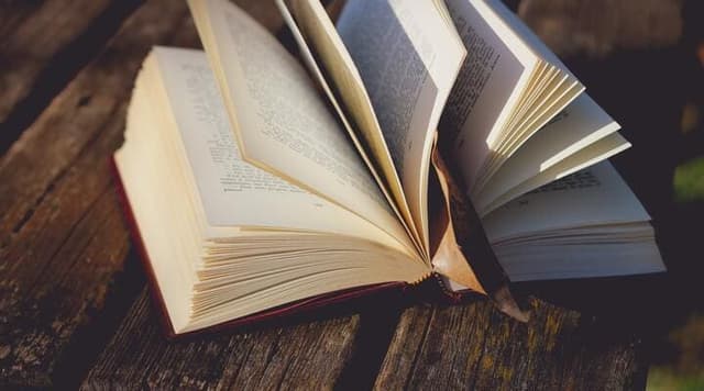 Montaigne, "Essais", "Des Cannibales", "Des Coches" - Commentaire