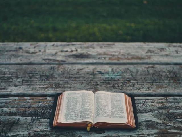 Fiche de lecture - L'Étranger de Camus
