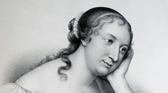 Exemples d'introductions pour une dissertation sur La Princesse de Clèves (La Fayette)