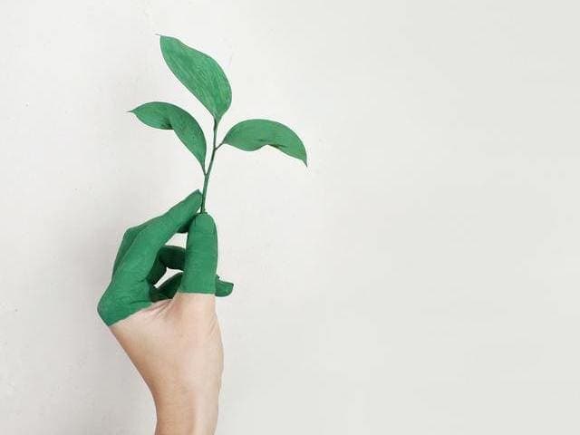 Exemples de sujets et de problématiques pour un mémoire sur le green marketing