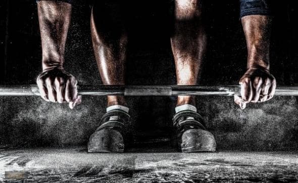 Le marché des salles de sport en France