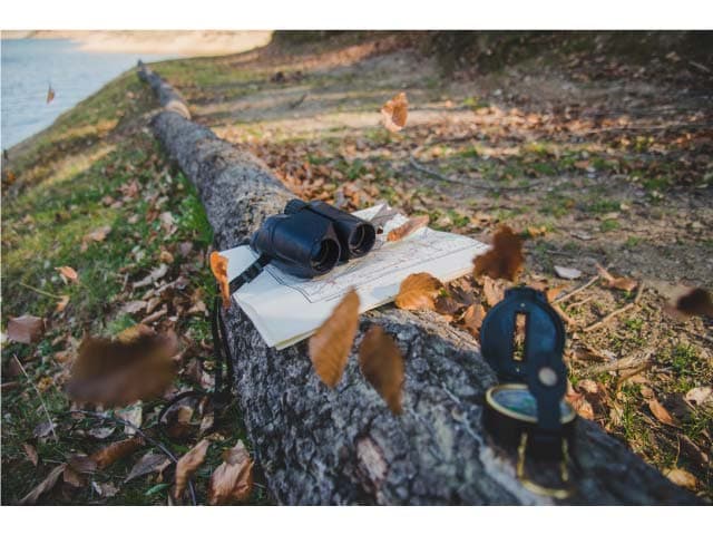 5 phrases d'accroche pour une dissertation sur le thème "Devoirs envers la nature"
