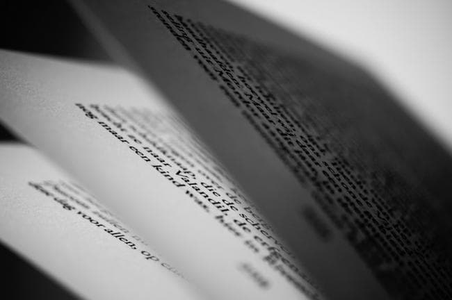 Ruy Blas de Victor Hugo : résumé