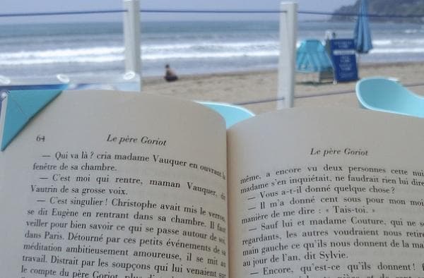 Quels sont les thèmes abordés dans « Le Père Goriot » de Balzac ?