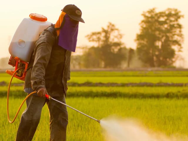 Les produits et pratiques de remplacement aux pesticides