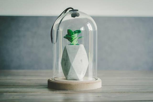 Exemple de PESTEL avec Nature et Découvertes