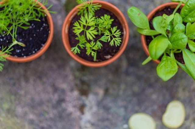 Étude du marché du bio en France