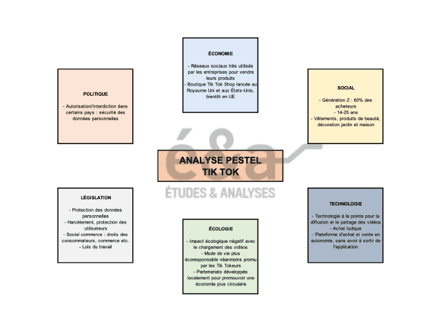 Analyse PESTEL de TikTok