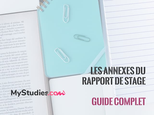 Les annexes dans un rapport de stage : définition, comment les faire et bien les organiser ?