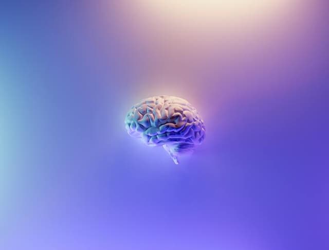 Sujets de dissertation sur la raison - Exemples en philosophie