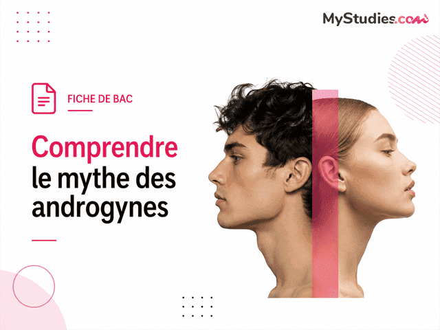 Fiche de bac - Comprendre le mythe des androgynes
