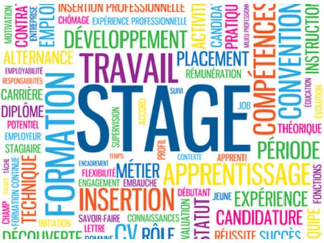 Guide pratique du stage pour les entreprises : recrutement