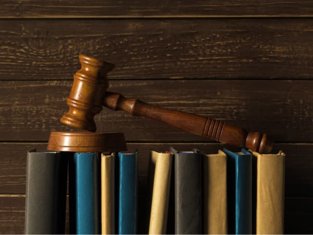 Formuler ses voeux sur Parcoursup : quelles sont les branches du droit ?