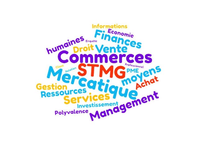 Le bac STMG (sciences et technologies du management et de la gestion)