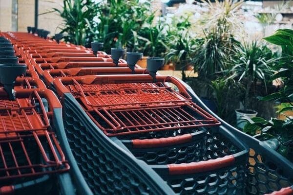 Le marché du bio en grande distribution : comment les MDD se démarquent-elles ?